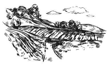formaggio forma png