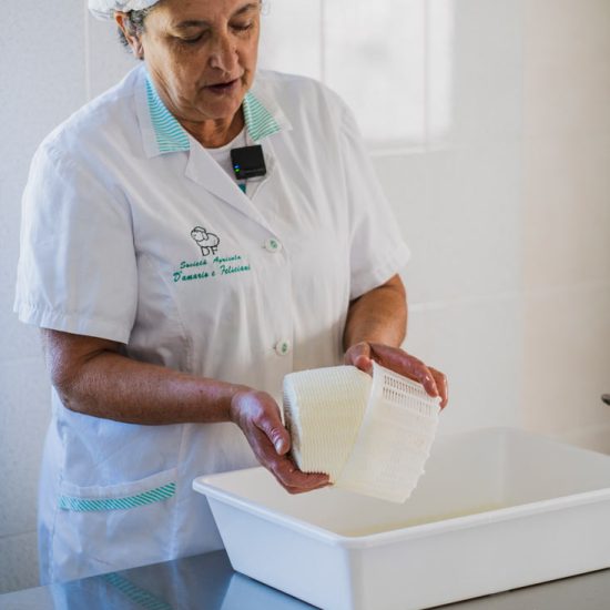 FotoProgettodivalorizzazione-pecorino